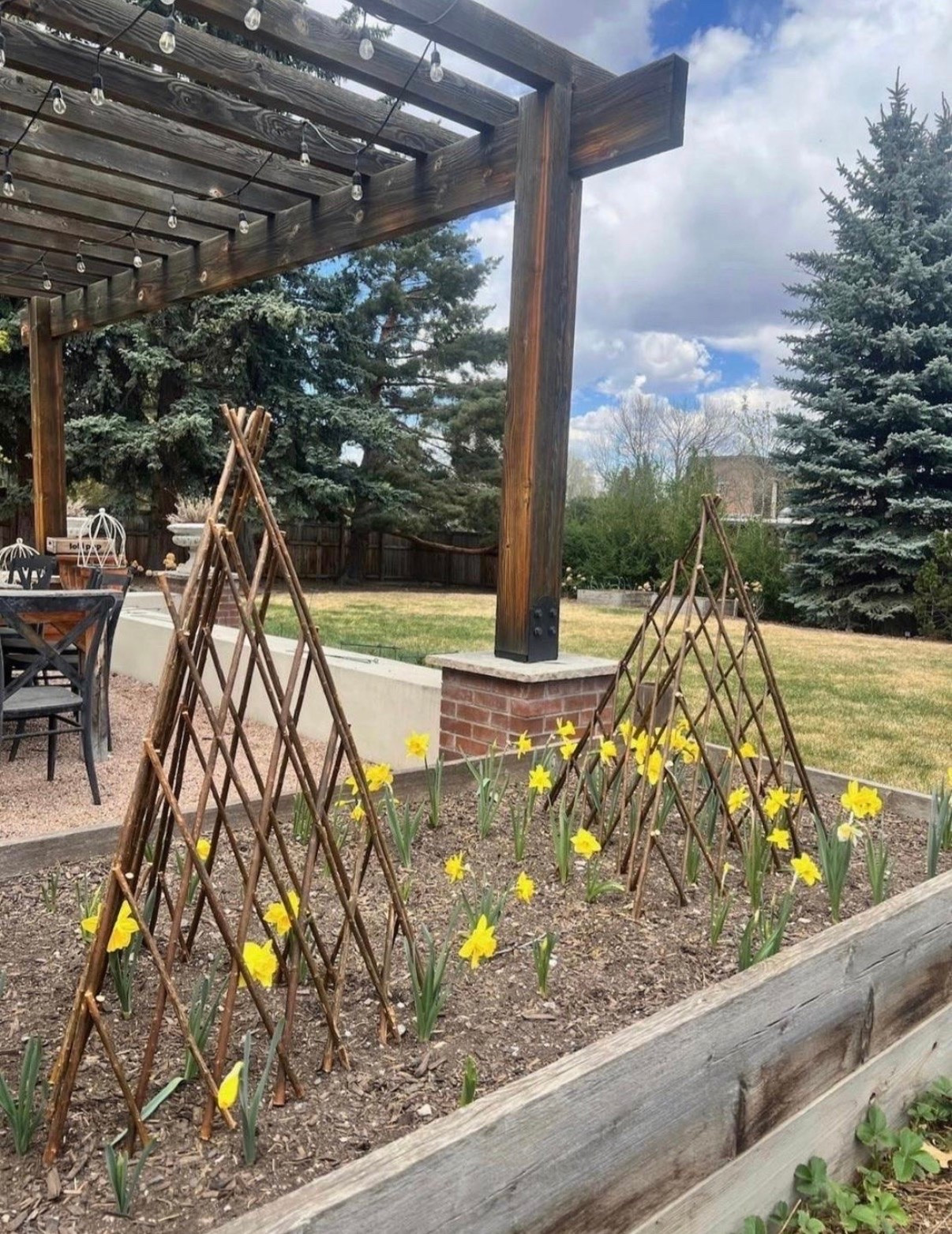 I wasn’t expecting to love these as much as I do 🌼 I added these willow trellises on a whim, and they’ve ended up being one of my favorite little touches in the garden. They add so much cottage charm, and I love that they come as a set of two!

#LTKSeasonal #LTKHome #LTKSaleAlert