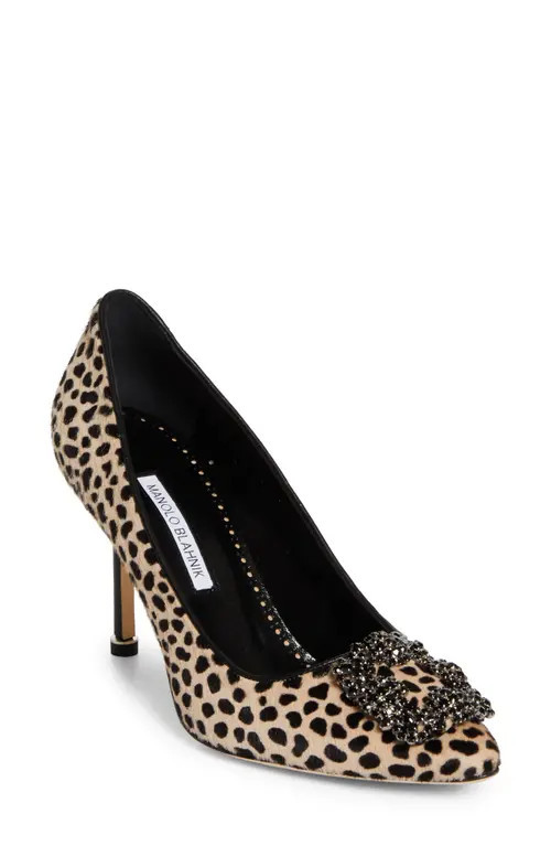 Manolo Blahnik Hangisi Genuine Calf Hair Pump in Beige/black Print Calf Hair at Nordstrom, Size 9.5Us | Nordstrom