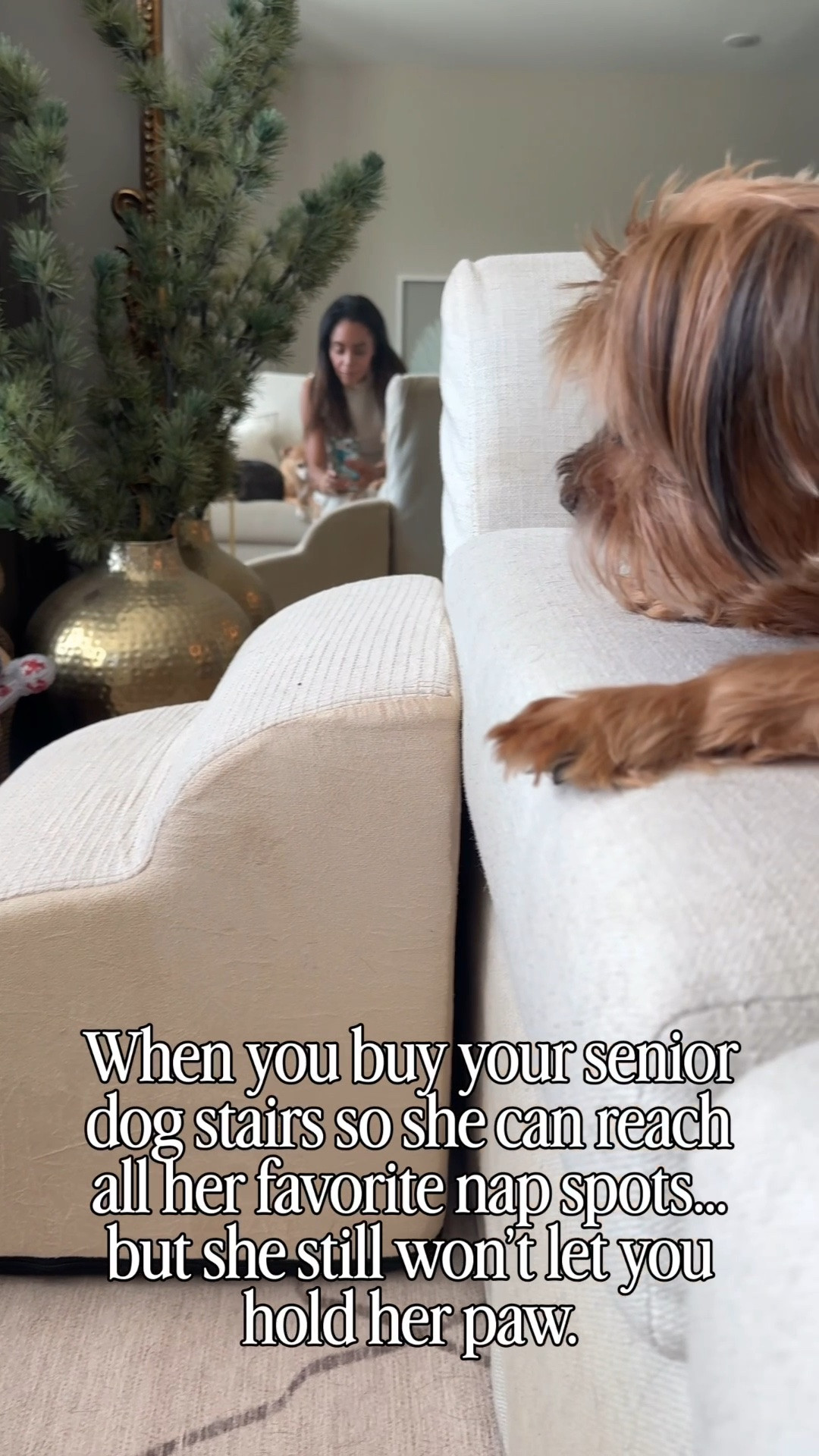 Apartment Therapy: Pet Stairs for Small Dogs.  The perfect stairs for your small senior dog. 

Scroll to shop. 

#LTKPet

#LTKdayinmylife #LTKActive #LTKHome