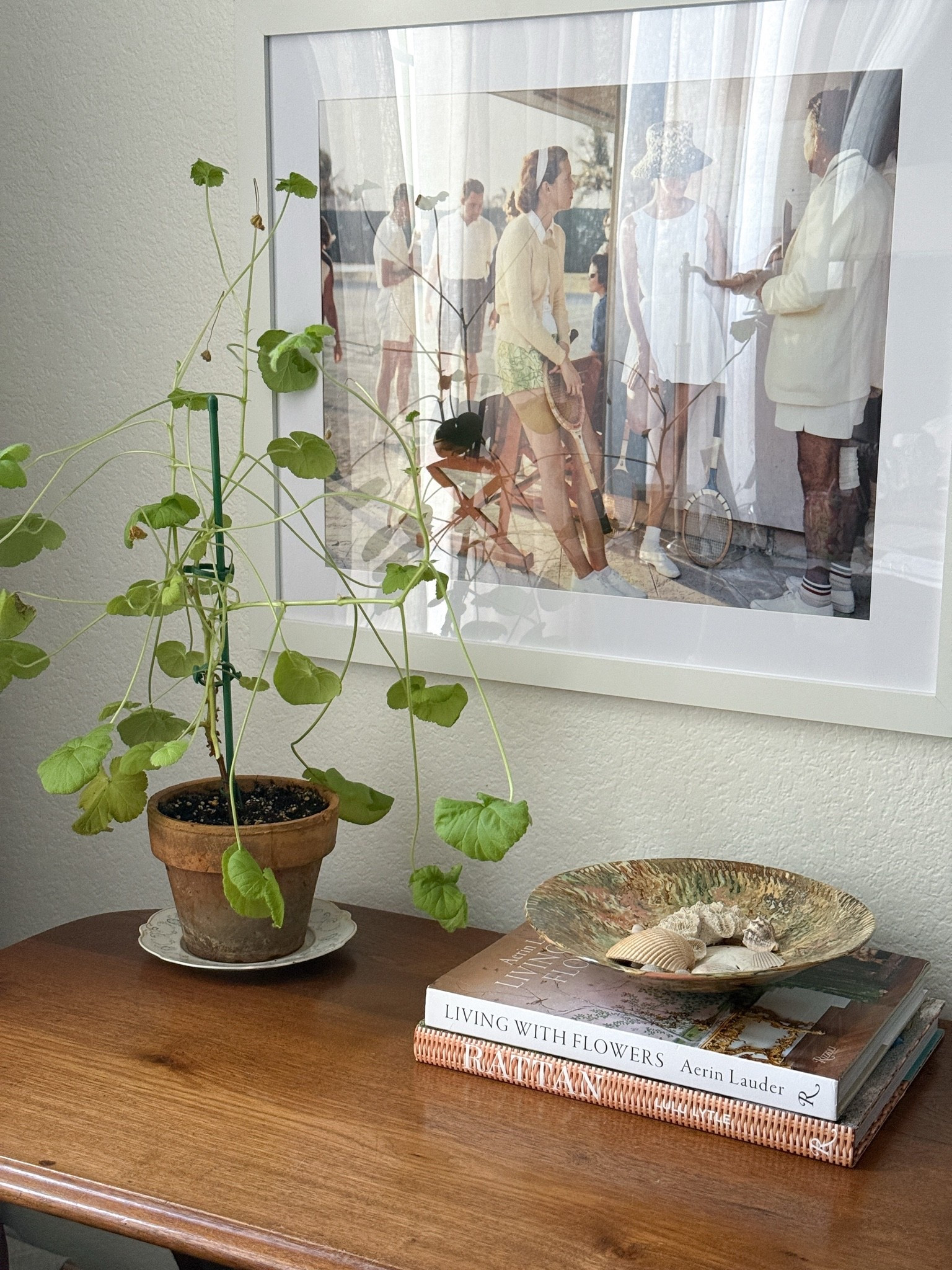 Geranium plant indoors

#LTKmomlife #LTKSeasonal #LTKHome