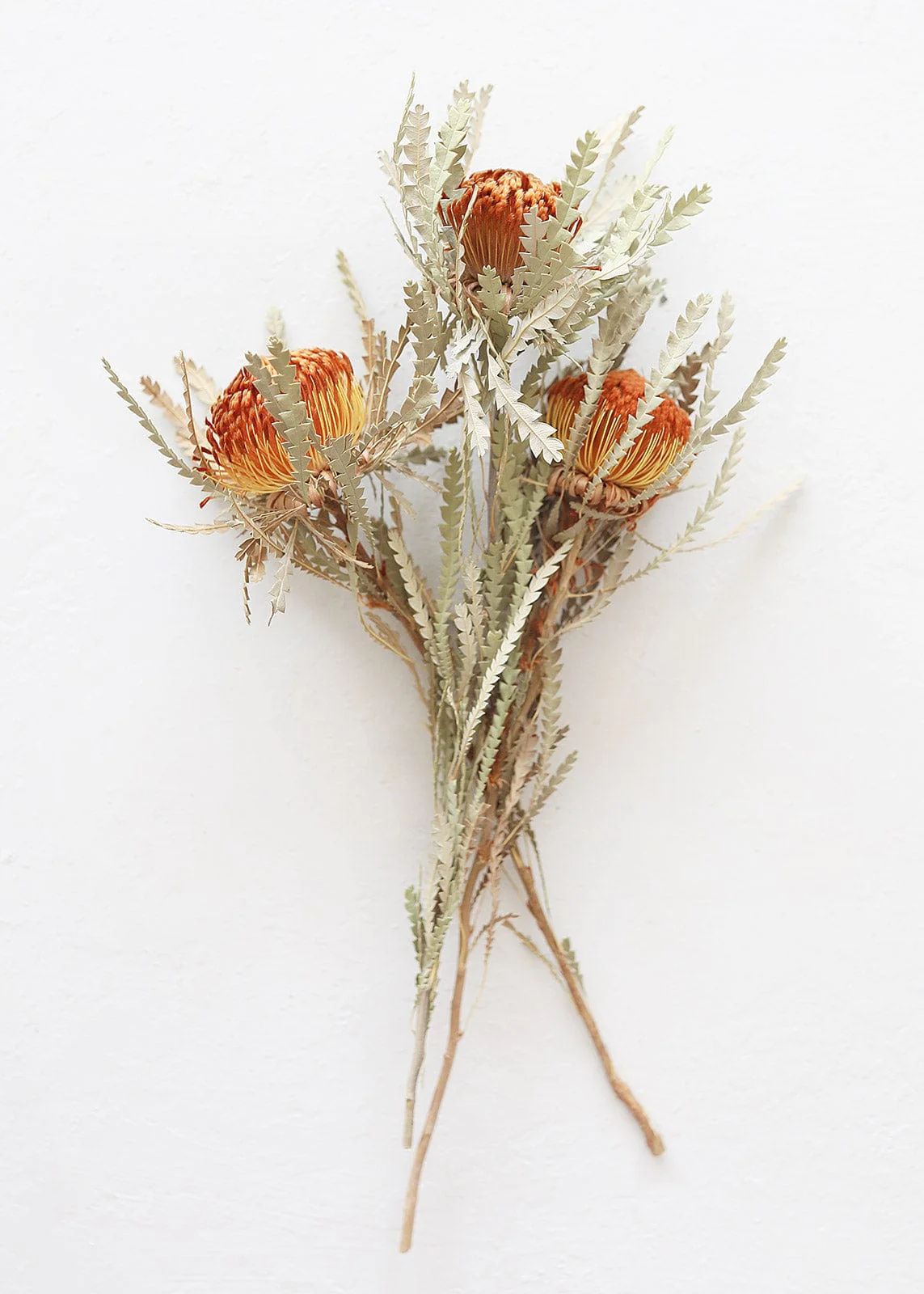 Orange Dried Formosa Banksia Flowers - 12-14" | Afloral