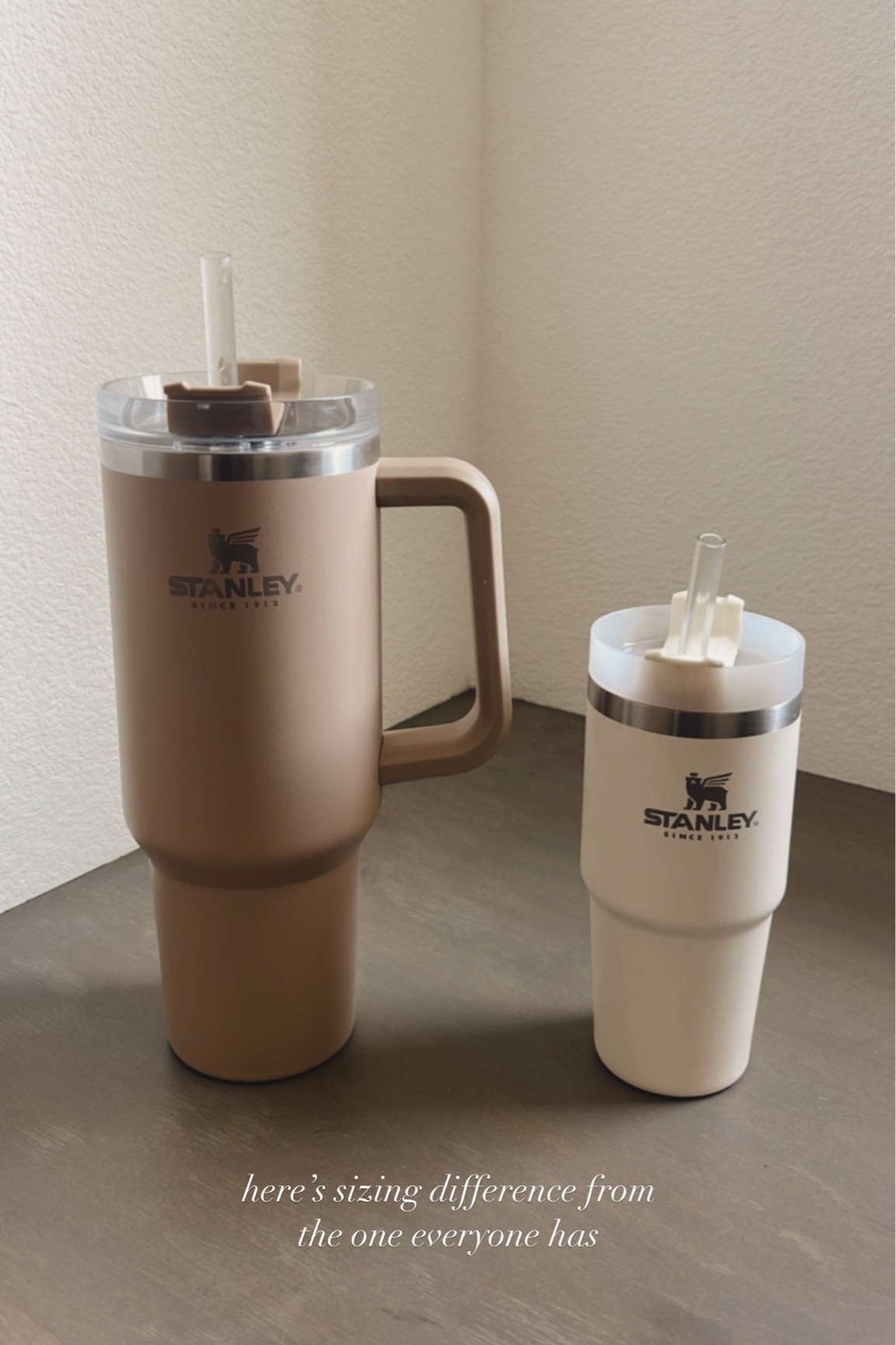 Stanley Quencher, stainless steel tumbler, trending #StylinbyAylin 

#LTKSeasonal #LTKstyletip #LTKunder100