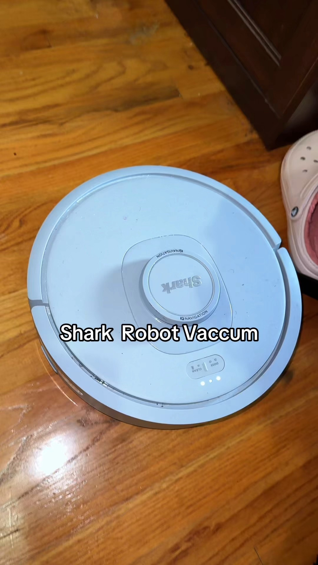 Shark Vaccum

#LTKHoliday #LTKGiftGuide