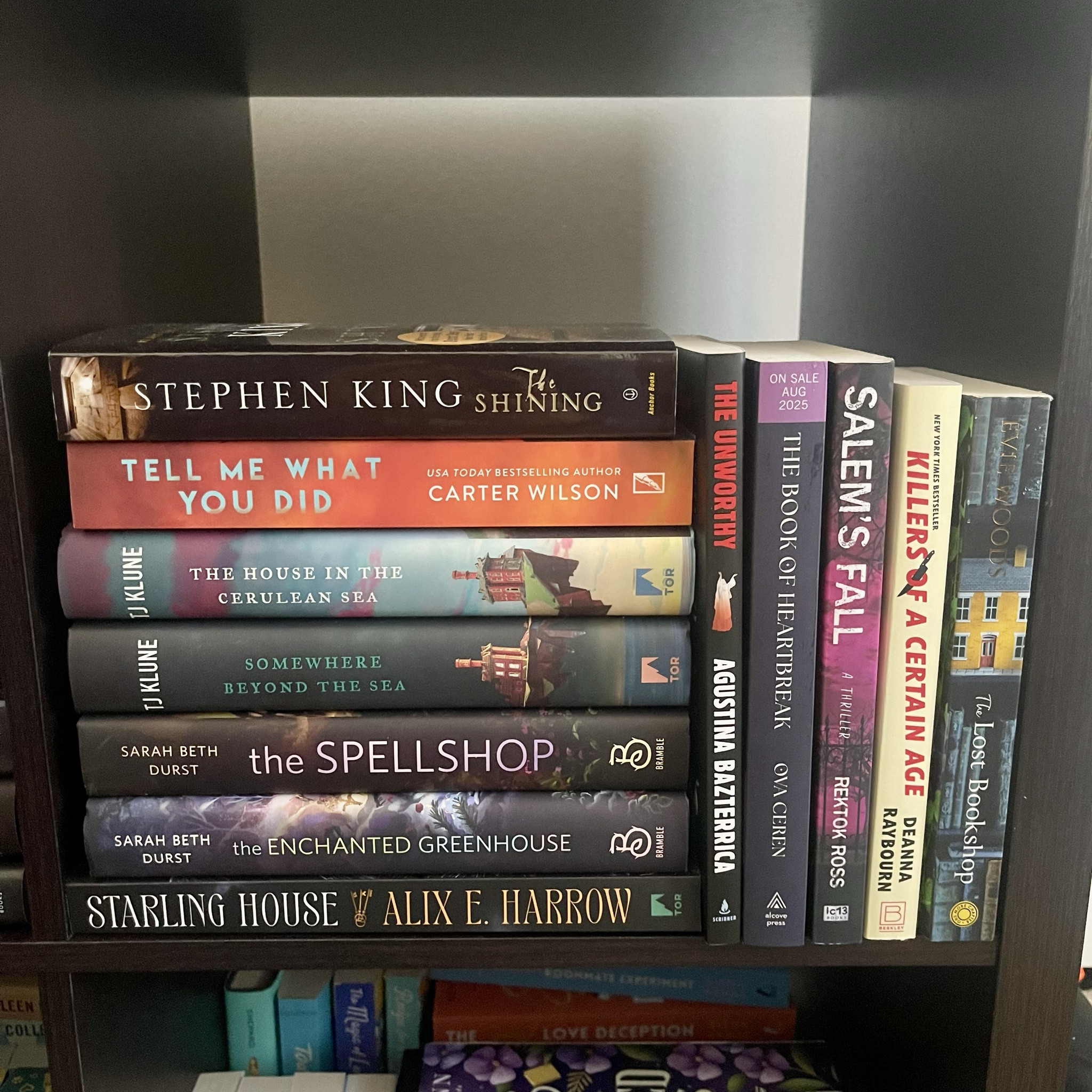 Books on My Fall/Winter TBR 📚

#LTKHome #LTKFindsUnder50 #LTKFindsUnder100