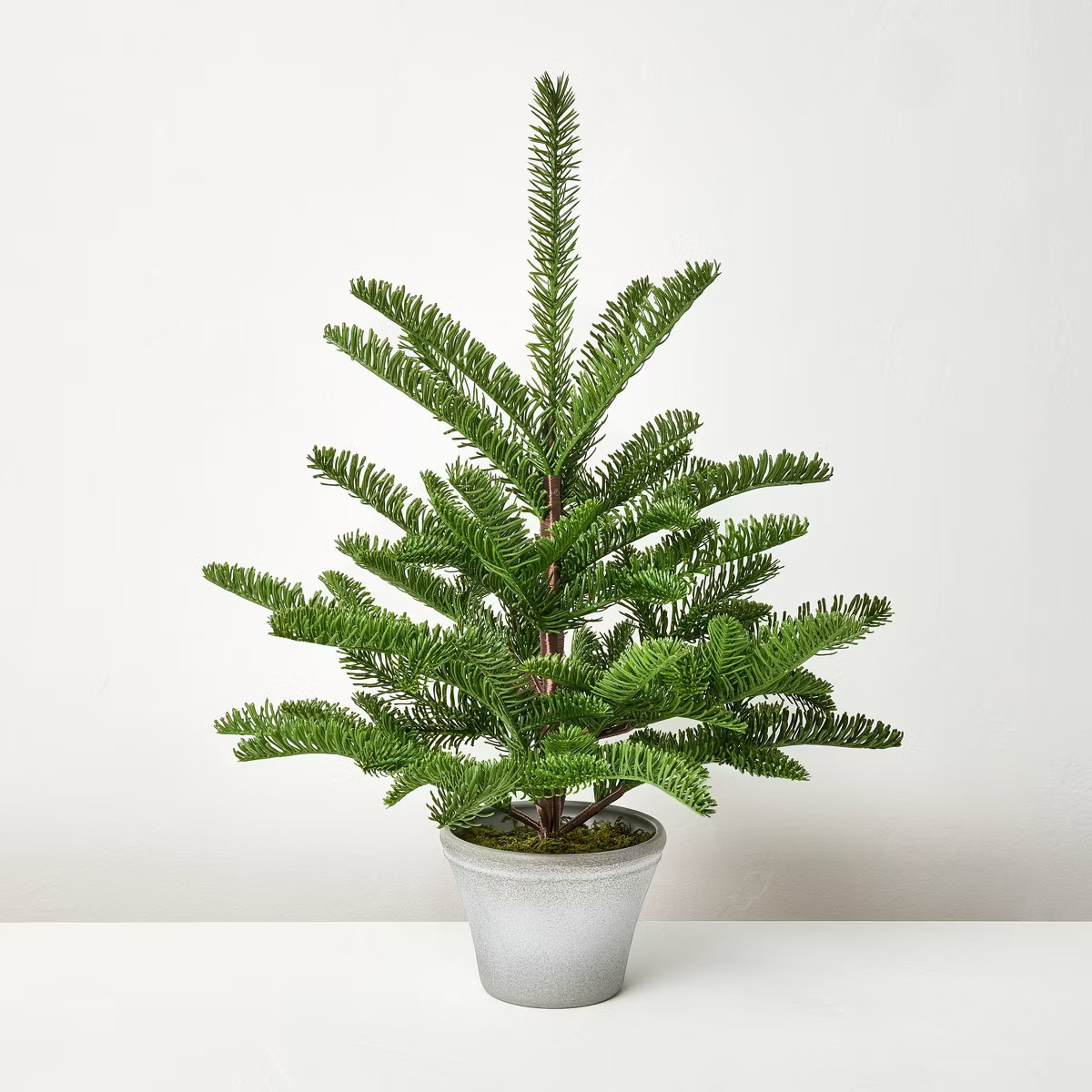 Potted Spruce Artificial Tree - Hearth & Hand™ with Magnolia | Target