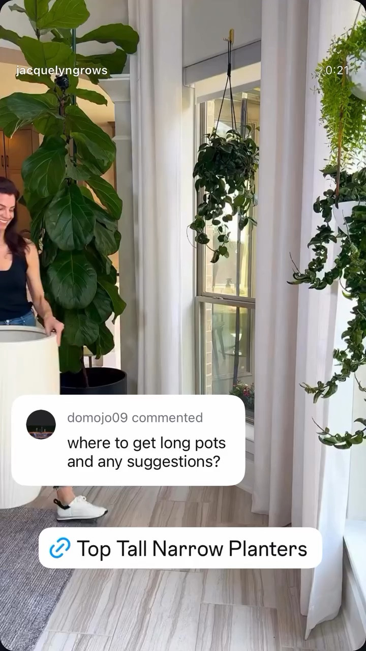 Top Tall Narrow Planters

#LTKOver40 #LTKHome #LTKSeasonal