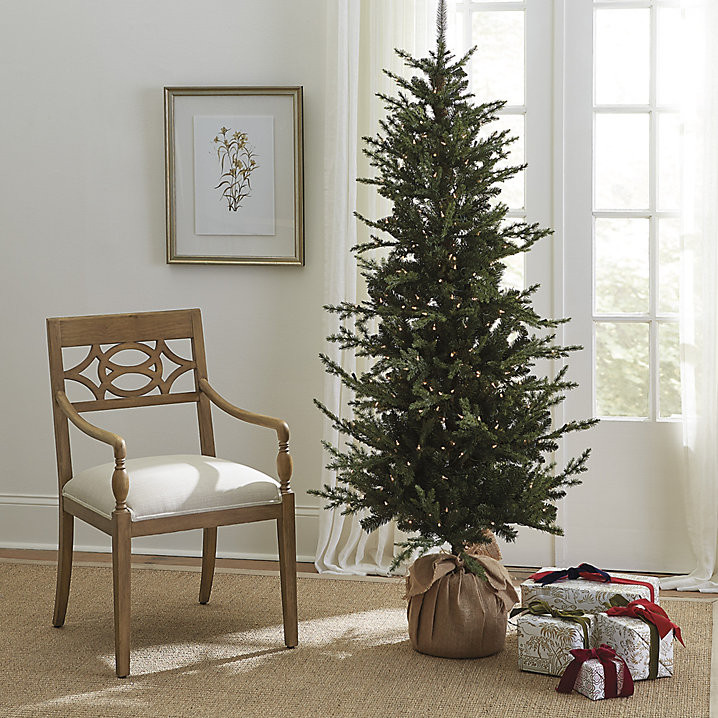 Woodland Tree with Burlap Ball & Pre lit Clear Lights for Tight Spaces | Ballard Designs, Inc.