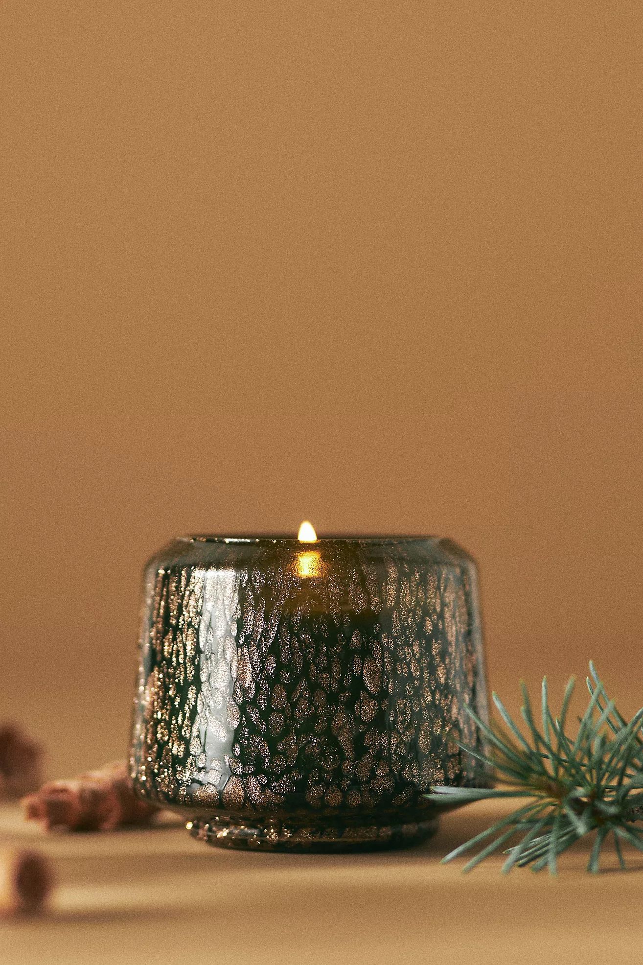Kindred Woody Fresh Balsam & Cedarwood Glass Candle | Anthropologie (US)