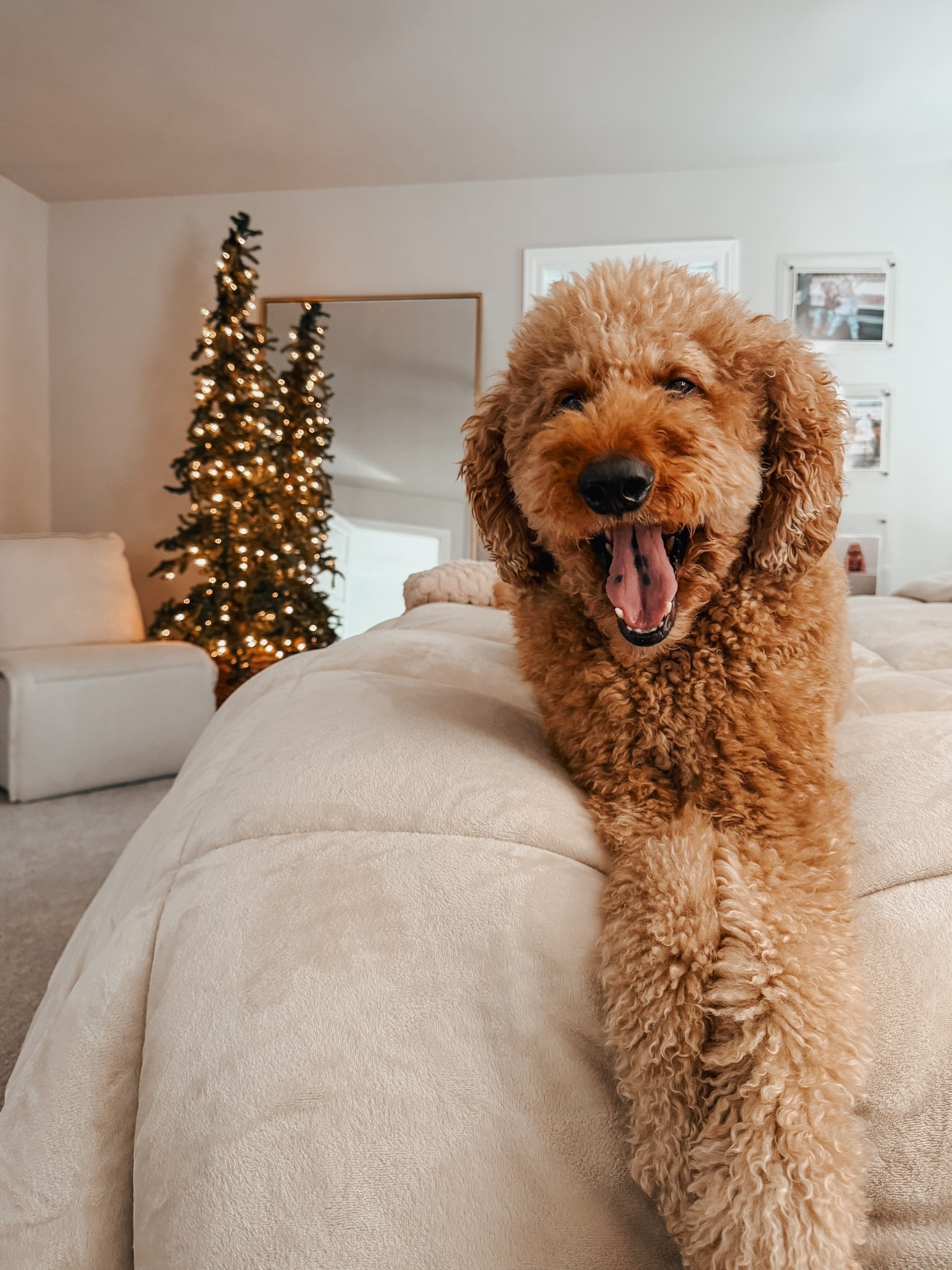 The perfect comforter for winter!


Comforter, bedding, winter beddingg

#LTKHoliday #LTKHome