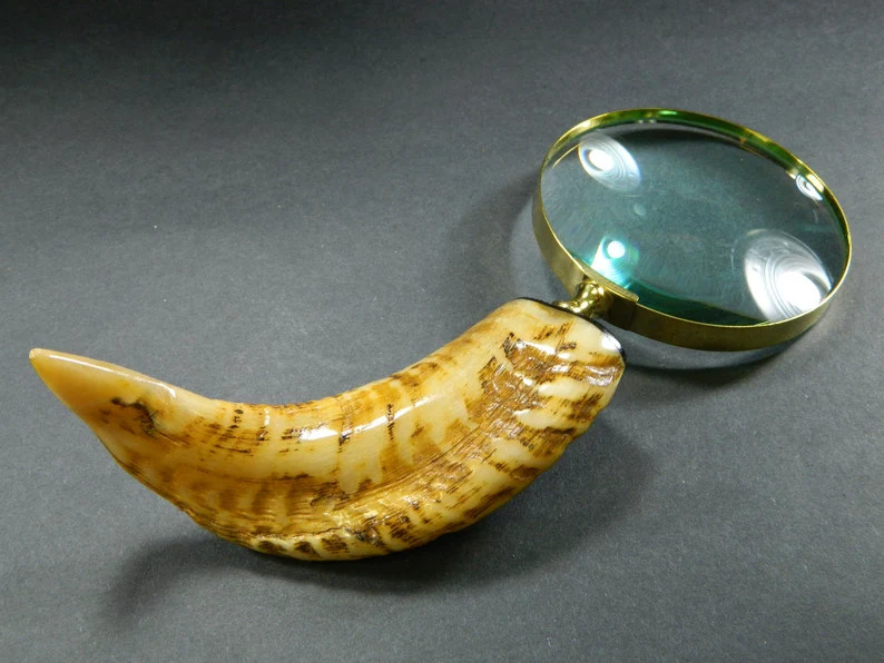 Large Polished Carved Rams Horn Handled Magnifying Glass- Unusual Horn Home Decor Reading Geology... | Etsy (US)