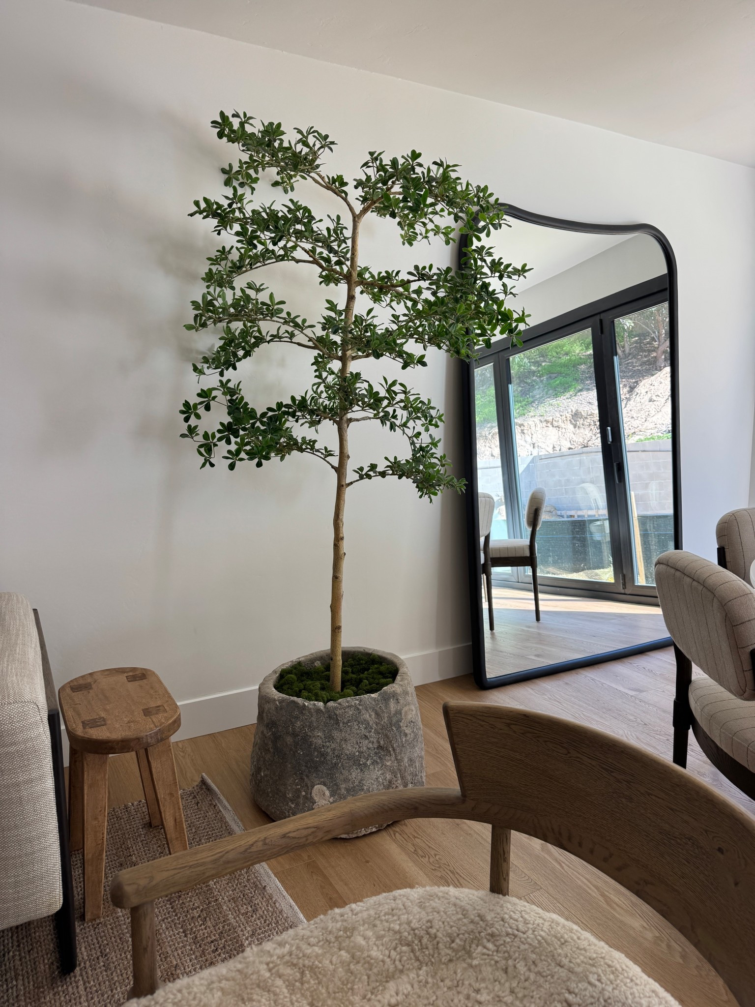 The faux black olive is so good! #onltk #ltk #homedecor