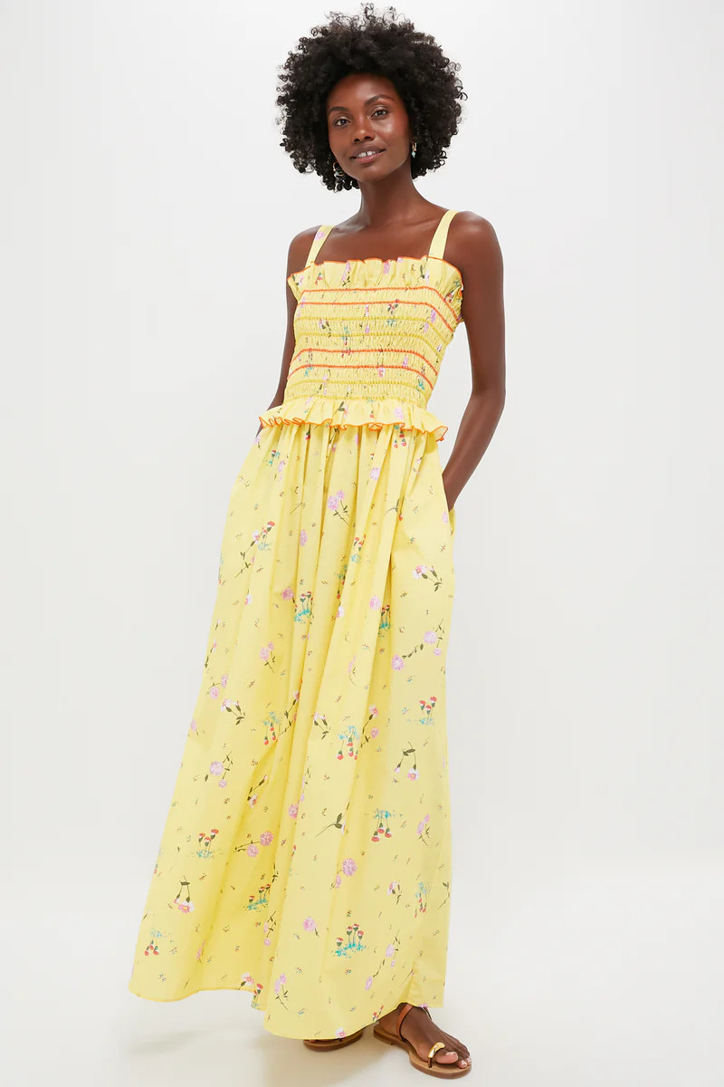 Wildflowers Ombretta Maxi Dress | Tuckernuck (US)