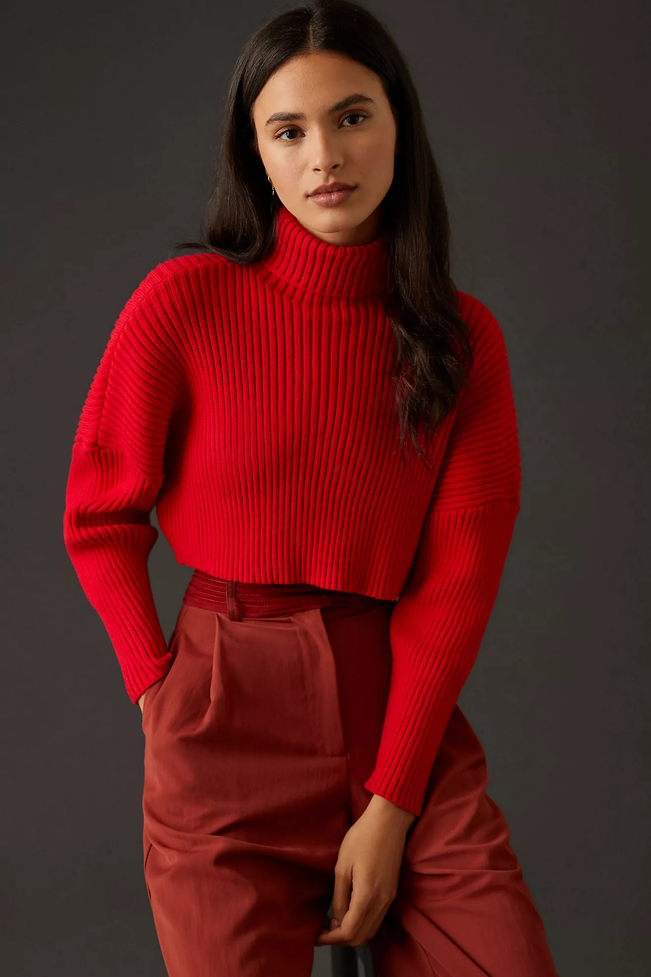 Bishop + Young Cropped Ribbed Turtleneck Sweater | Anthropologie (US)
