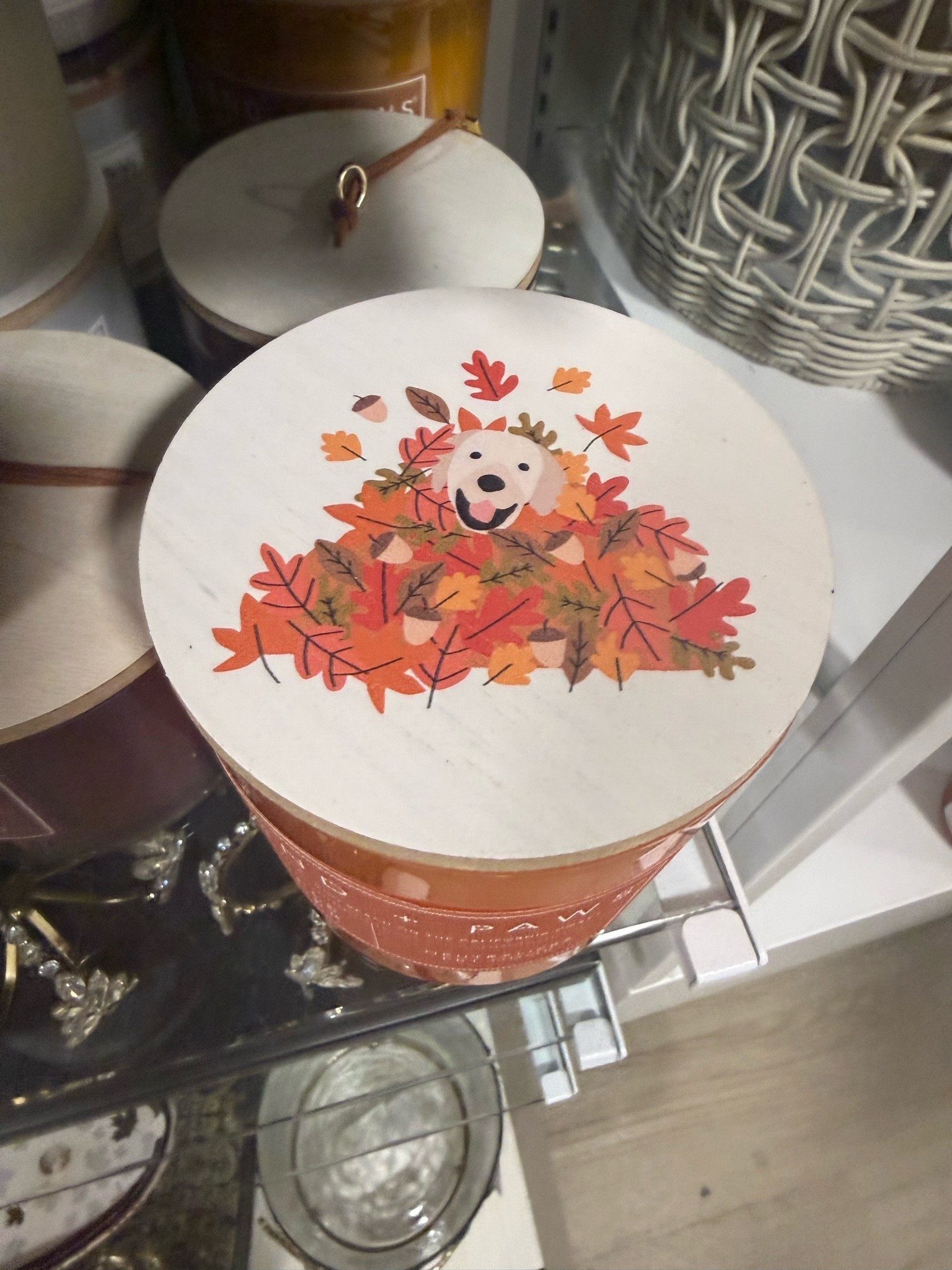 Found some new fall candles at Homegoods 🍂🍁🕯️love this Sand and Fog brand for pet odor neutralizing

#LTKdayinmylife #LTKHome #LTKSeasonal