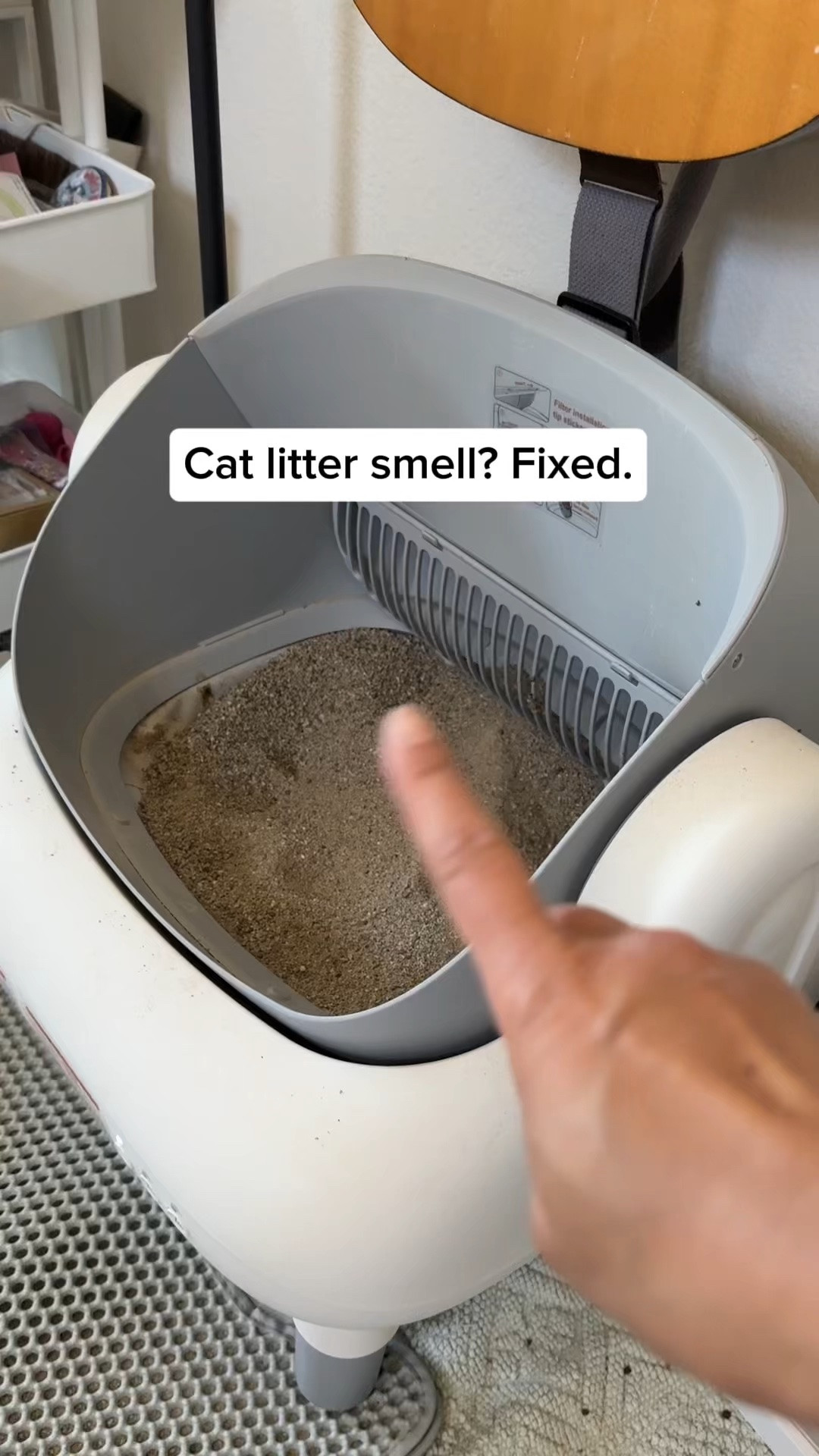 Finally found something that actually works for pet odors 🙌 No sprays, no refills — just fresh air. Lasts up to 5 years and it's safe for pets and kids ✨
#petmom #homehacks #airpurifier #momlife #catmom

#LTKmomlife #LTKHome