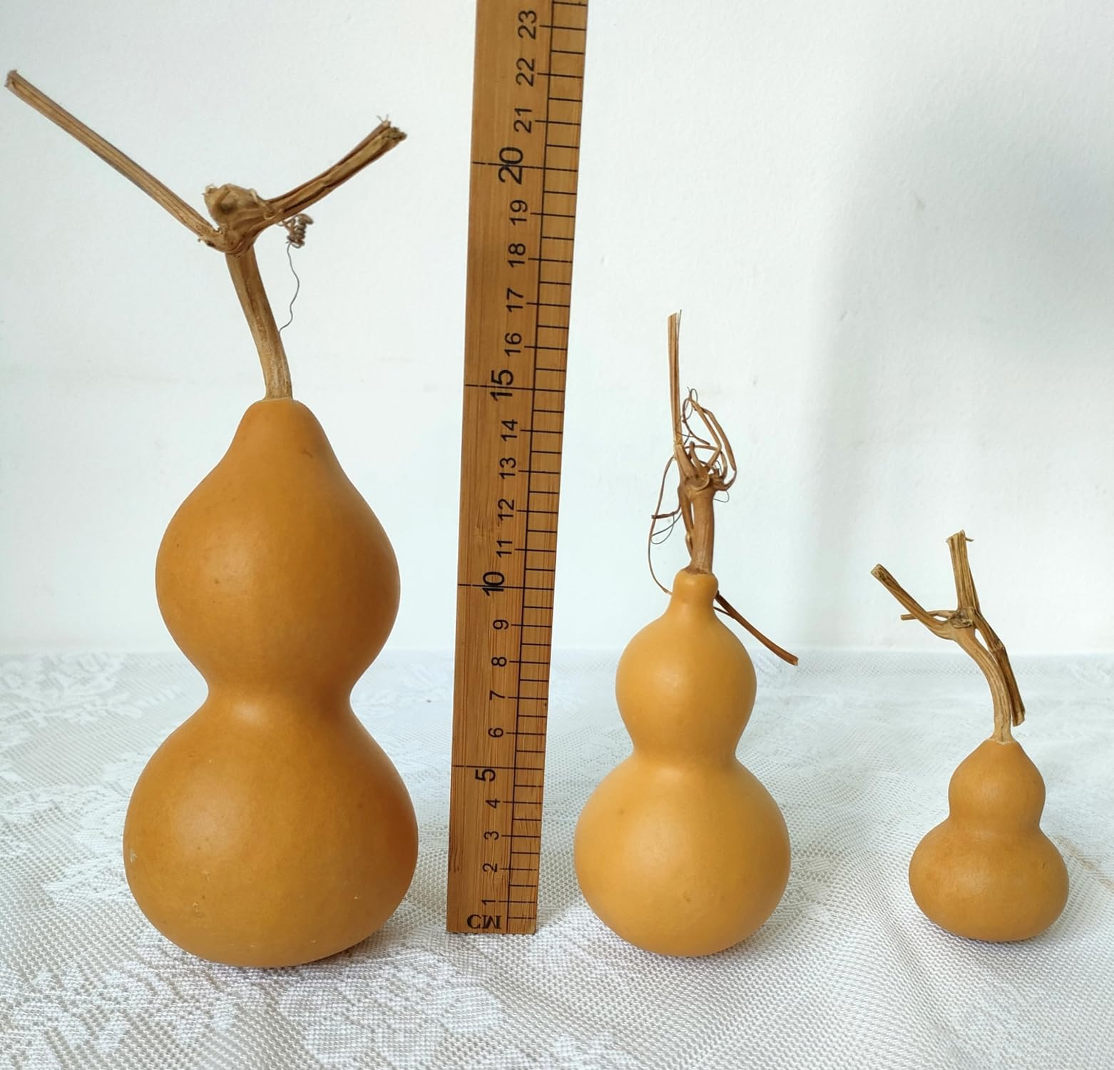 Natural Dry Bottle Cute Dried Gourd Ornament Adornment Decorative Desktop Decor Original DIY Craf... | Amazon (US)