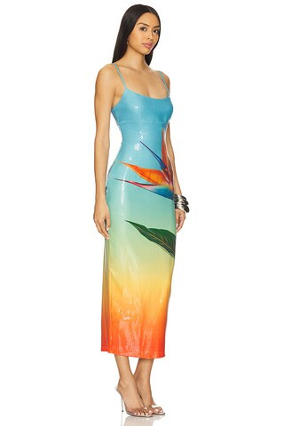 Kyra Midi Dress in Paradise Ombre | Revolve Clothing (Global)
