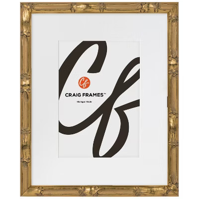 Craig Frames 16x22 Inch Picture Frame, Champagne Gold, Vintage Bamboo Style, 1.0" Wood Moulding, Painted Finish, Plexiglass Facing and Hanging | Target