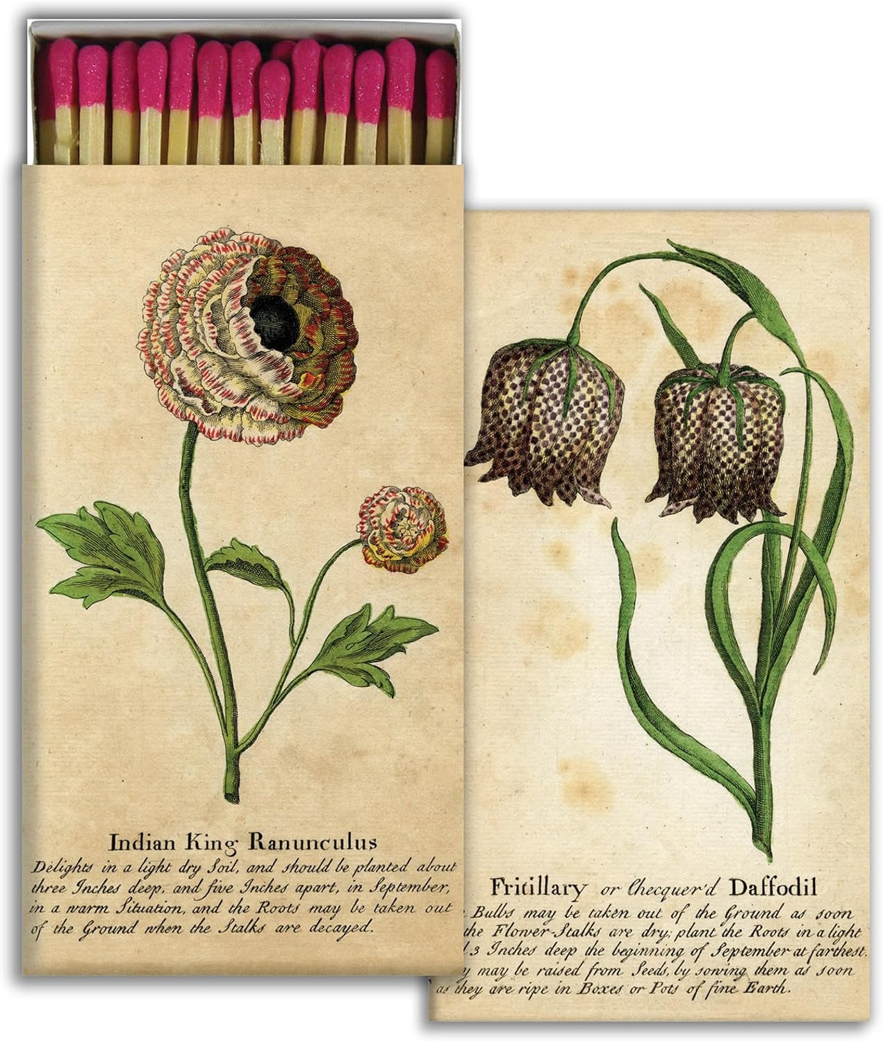 Decorative Matchbox Set of 2 – Vintage Botanical Flower Candle Matches – 50 Wooden Matches Each – Great Hostess Gift | Amazon (US)