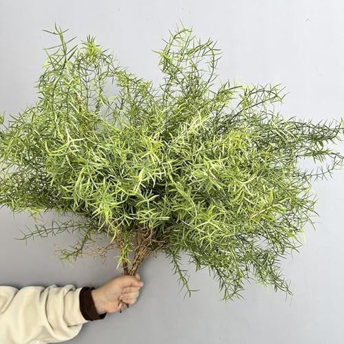 2Pcs Faux Asparagus Fern Bush 26In Large Artificial Radix Asparagi Fern Greenery Plants Home Deco... | Amazon (US)