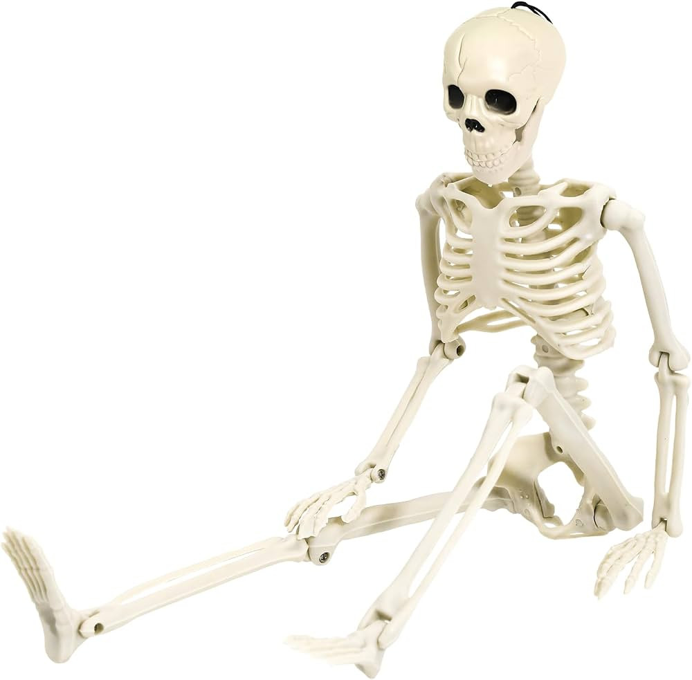 36" Skeleton Halloween Decoration, 3FT Full Body Posable Skeleton Realistic Human Bones with Posa... | Amazon (US)