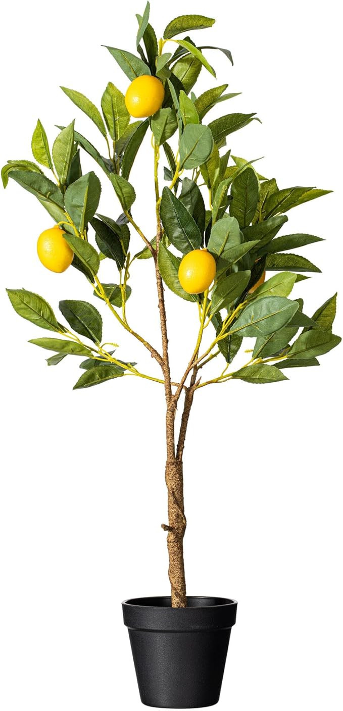 Vickerman Everyday 28" Artificial Potted Lemon Tree - Lifelike Home Or Office Decor - Premium Fau... | Amazon (US)