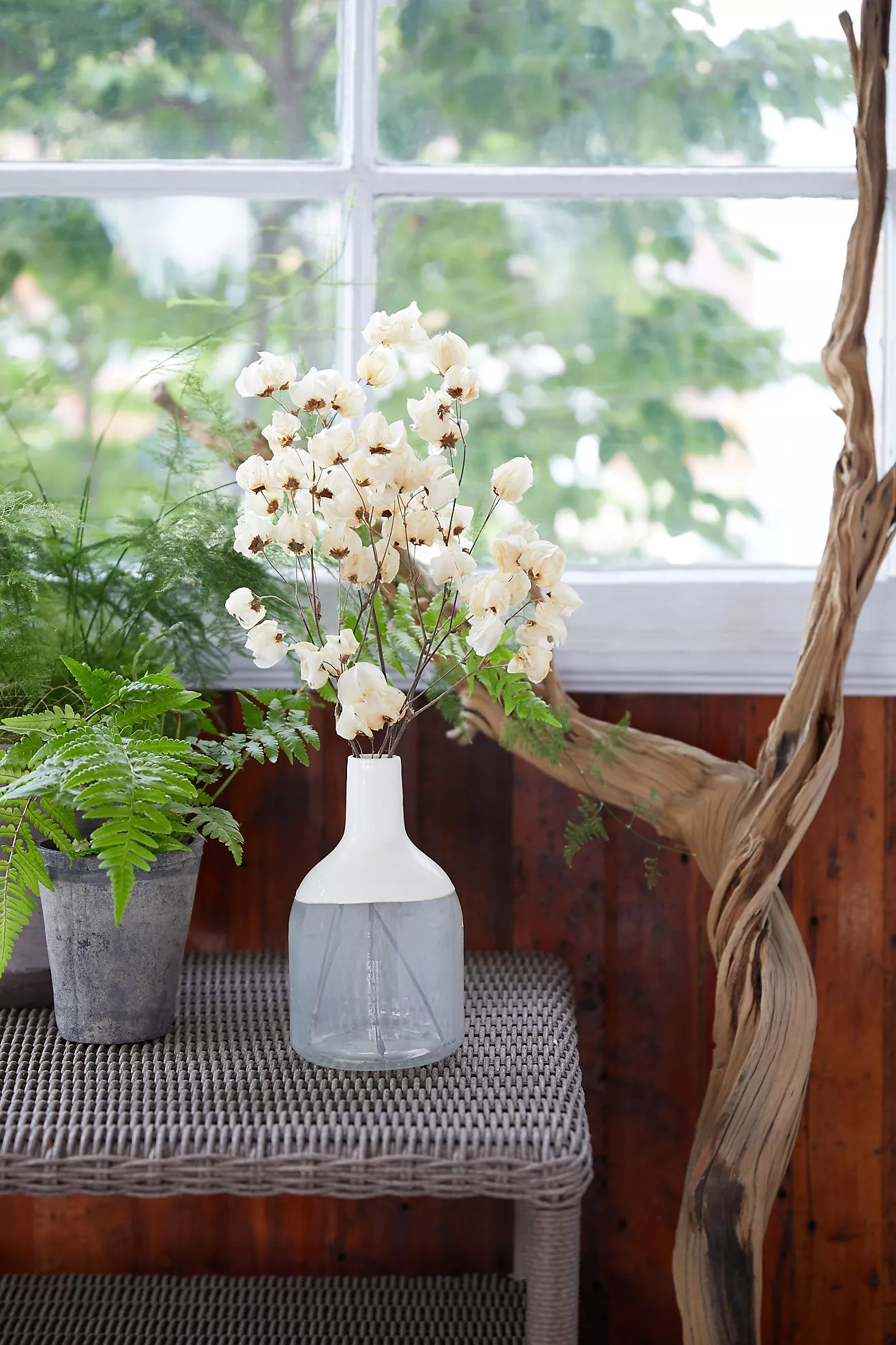 Bougainvillea Blossom Bunch | Anthropologie (US)