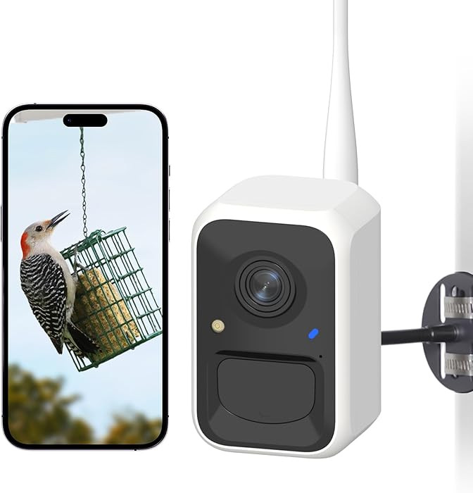 NETVUE by Birdfy Smart Bird Feeder Camera, Adjustable Brackets, Auto Bird Video Capture, Instant ... | Amazon (US)
