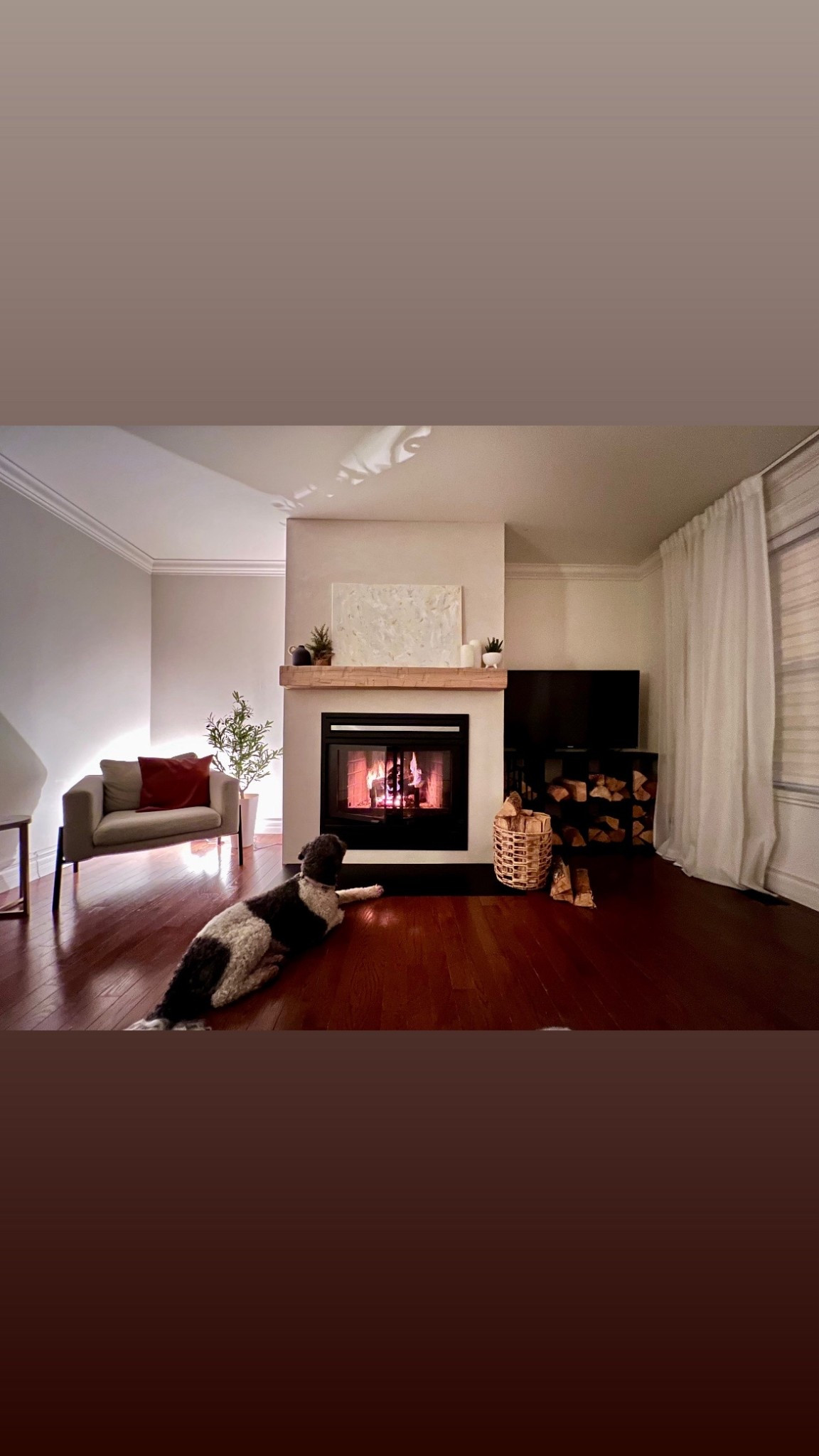 Winnie enjoying the fire

#LTKPets #LTKdayinmylife #LTKCyberWeek