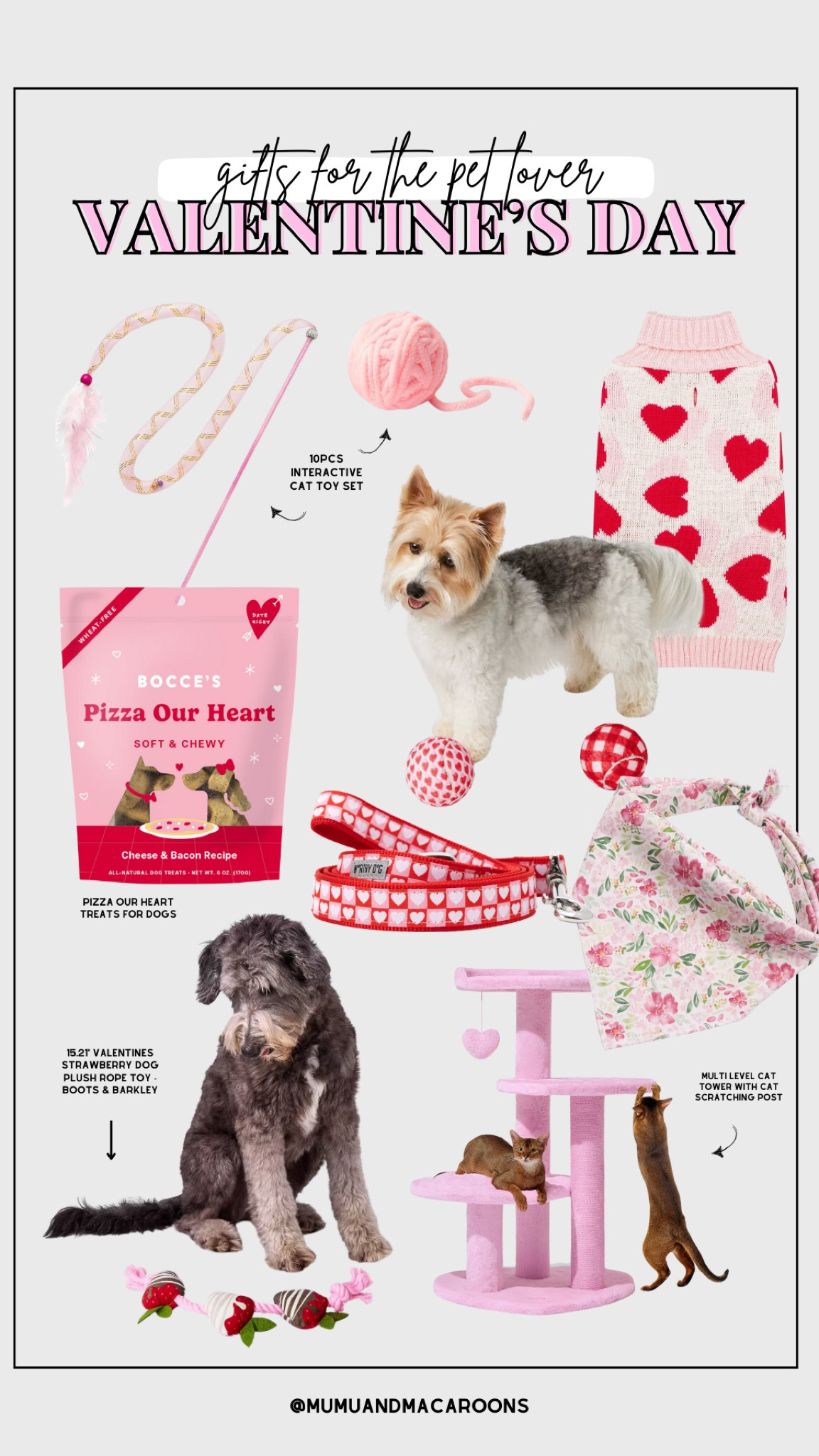 gift guide (valentine’s day - for the pet lover)

#LTKFindsUnder50 #LTKGiftGuide
