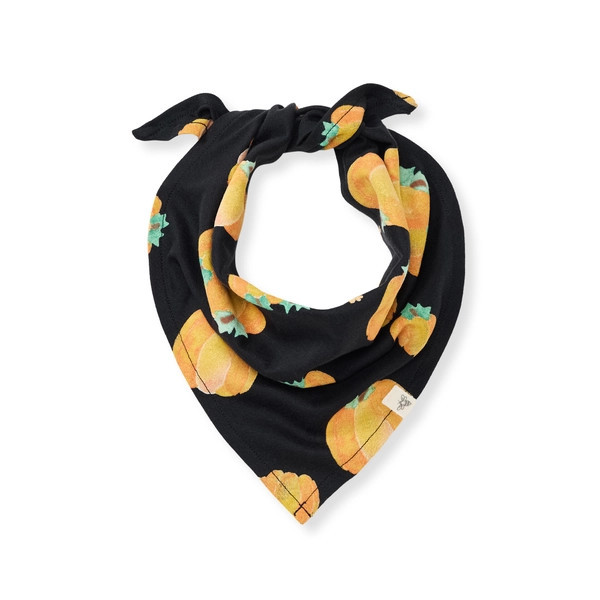 Midnight Pumpkins Organic Matching Family Pajamas | Burts Bees Baby