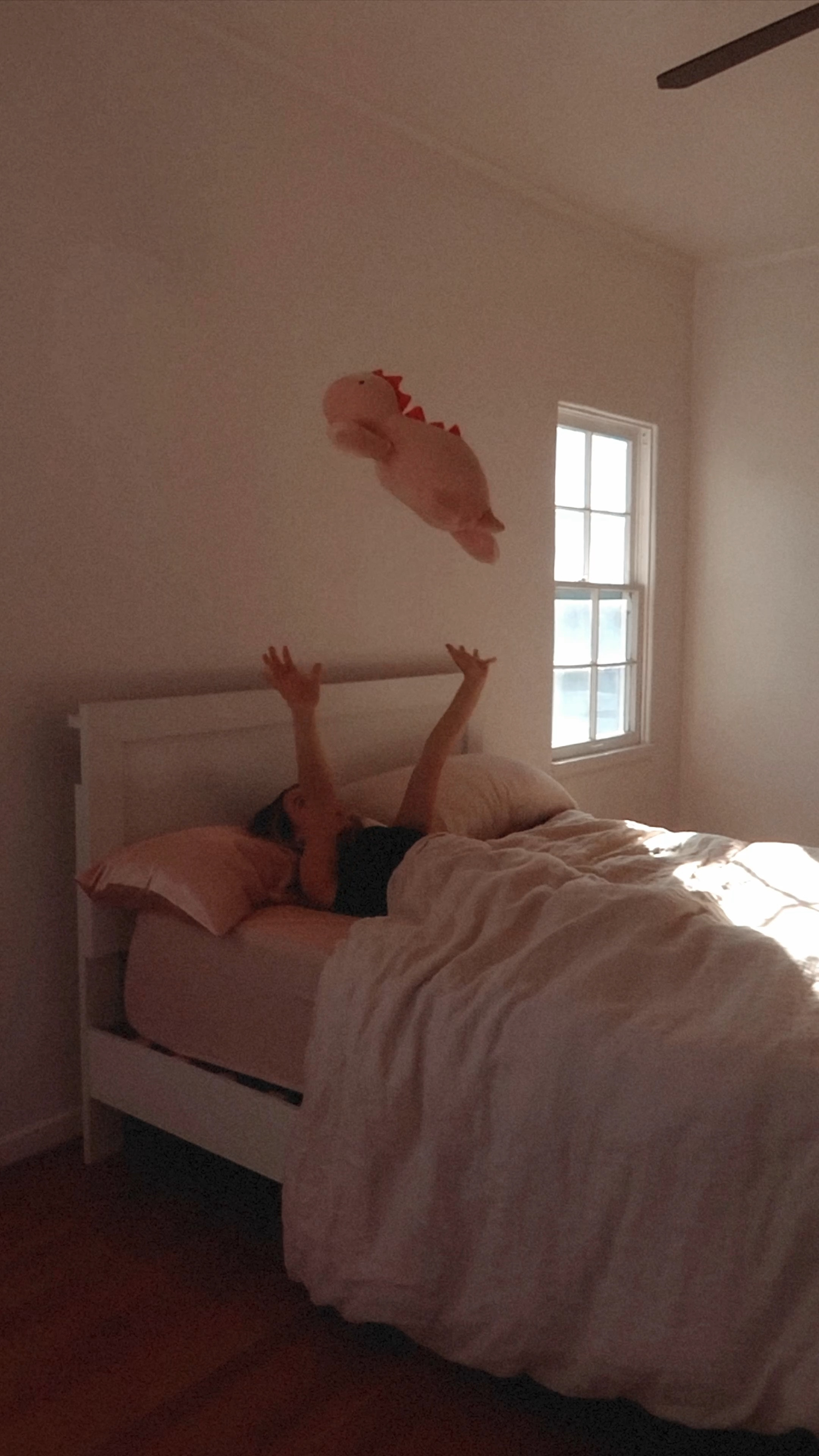 dino was a gift from my roommate & turned out to be such an amazing gift! he's a weighted stuffed animal and my bestie now. he's heavier than you'd expect and it's so comforting. he even goes on car rides with me it's ridiculous & you need one.
only $2o :) #target #pillowfort #weightedblanket #stuffedanimal #bff #bestie #gift 

#LTKVideo #LTKGiftGuide #LTKfamily