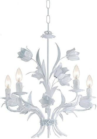 Southport 5 Light Wet White Chandelier | Amazon (US)