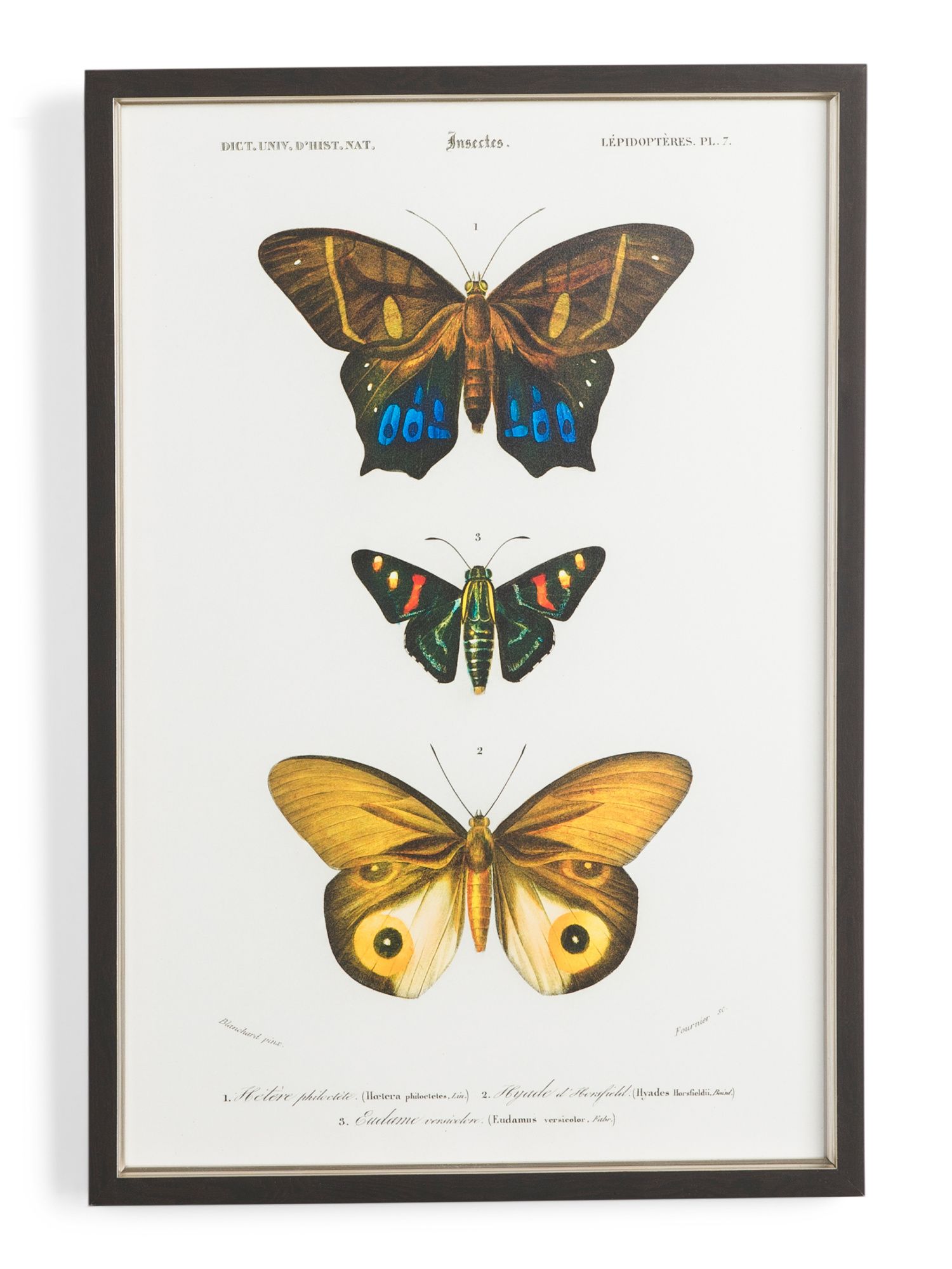 Three Butterflies Wall Art | Home | Marshalls | Marshalls