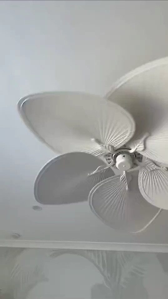 CEILING FAN INSPO 💕 

Might be an unpopular choice but we’ve added ceiling fans to all our bedrooms and main living areas so we can use them with our evap cooling

Getting our builder to install refrigerated cooling was was too much $$$ so we did this instead and it works a treat. On hot summer days we don’t even use our evap as the fans we got are so good
 .. and affordable too 👊🧡

Comment ‘FAN’ for the links to all our favourites ❤️
.
.
.
.
.
#ceilingfan #ceilingfans #coastal #coastalliving #coastalhome 

#LTKnewzealand #LTKaustralia #LTKhome