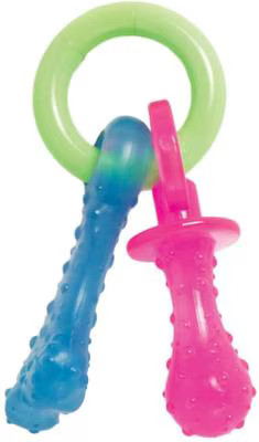 Nylabone Puppy Pacifier Teething Toy Chew Teething Pacifier Bacon, Small | Chewy