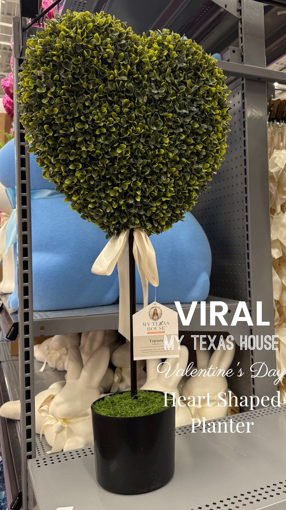 The Viral Amy Texas House Walmart Valentines Day Decor from My Texas House Heart Shaped Topiary Heart Shaped Planter

#LTKHome #LTKSeasonal #LTKFindsUnder50