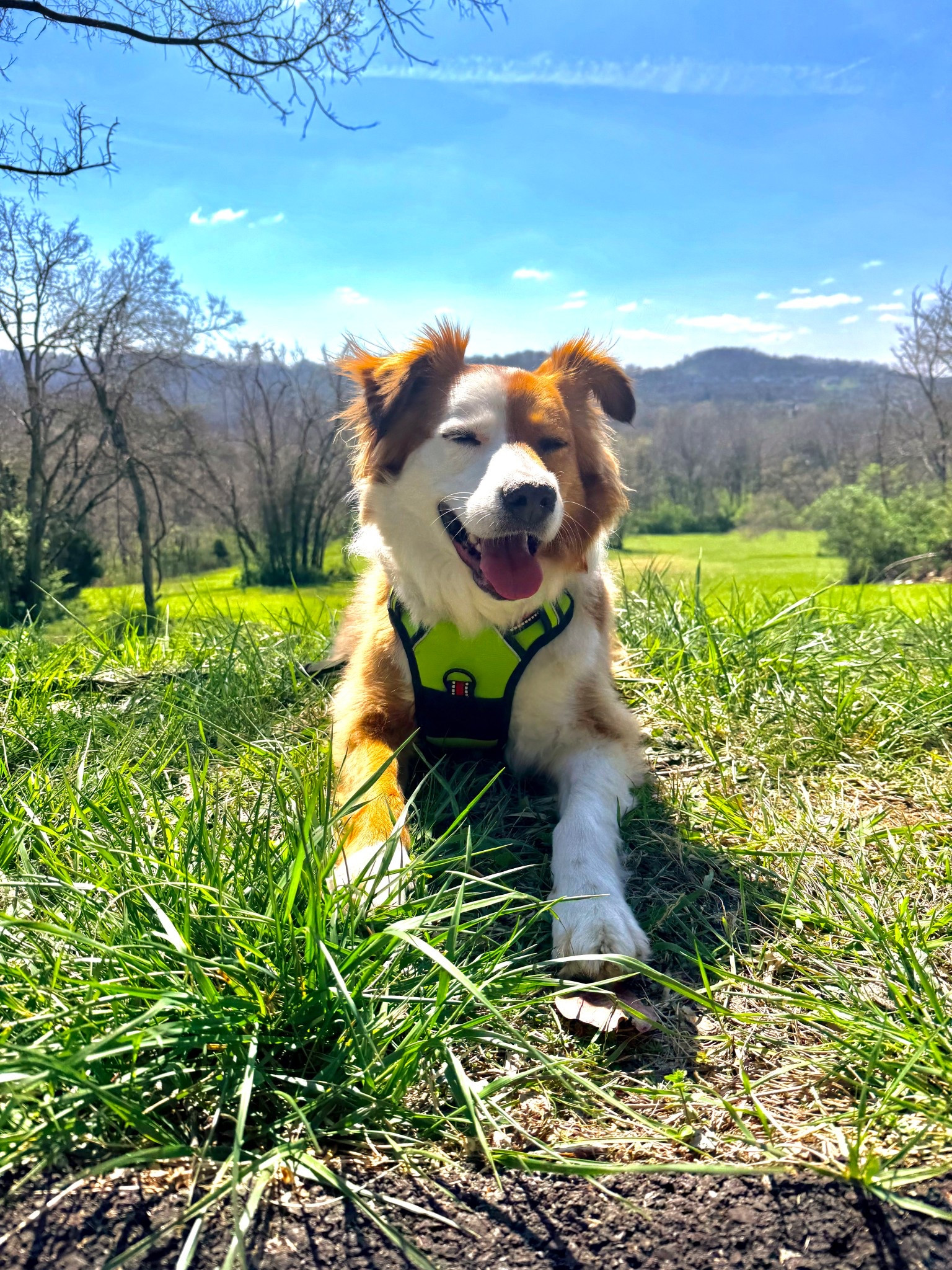 His smile is more shinier than sunshine☀️☀️

#LTKmomlife #LTKdayinmylife