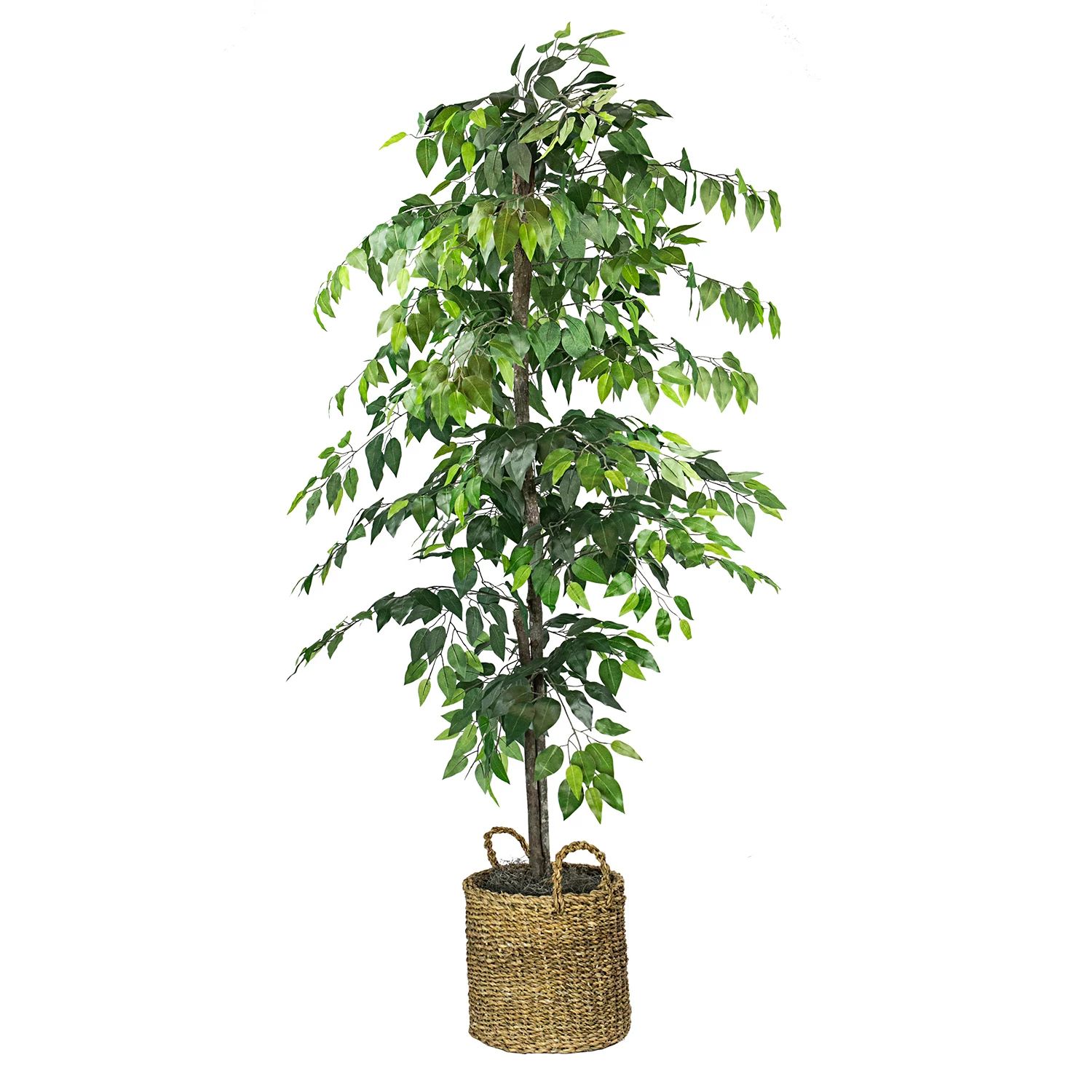 Faux 6' Ficus Tree in Roped-Style Handwoven Basket | Sam's Club