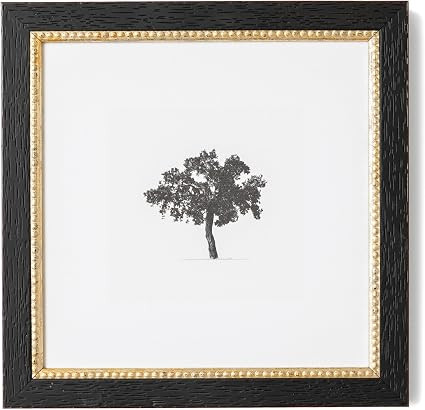 Petal Lane Tree Wall Art - 8x8 Framed Antique Decor - Make Your Own Gallery Wall Frame Set - Dark... | Amazon (US)