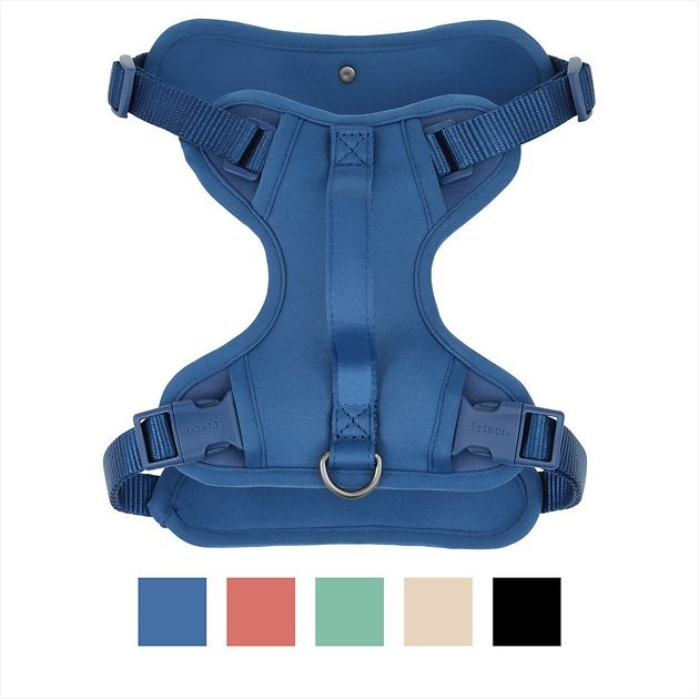 FRISCO Monochromatic Dog Harness, True Navy, MD - Chewy.com | Chewy.com