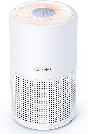 Air Purifiers for Bedroom, FULMINARE H13 True HEPA Air Filter, Quiet Air Cleaner With Night Light... | Amazon (US)