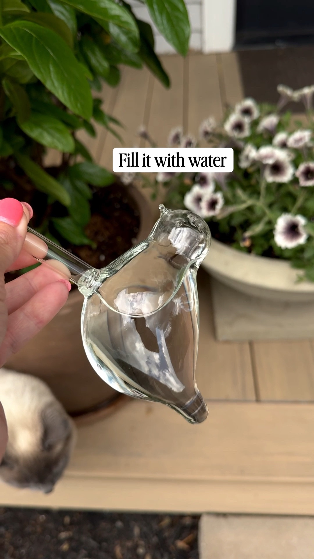 Thanks to #WalmartPartner for sponsoring this post.

I bet you’ve never seen these. If you live in a warm area or you’re on vacation, these are perfect for your plants. They’re self watering and slowly release water over time so you don’t have to think about it. They’re also really cute, so you’re getting something functional that still looks good. They come as a set of two and are glass. Just fill them with water and they do the rest.

#walmart @walmart