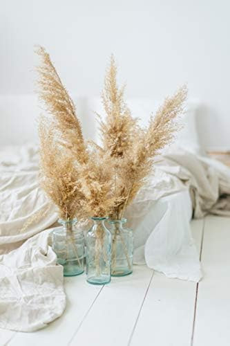 4 Stems - 36" Tall Natural Pampas Grass Beige -100% Dried Pampas Grass Natural Decor -Luxe Pampas... | Amazon (US)
