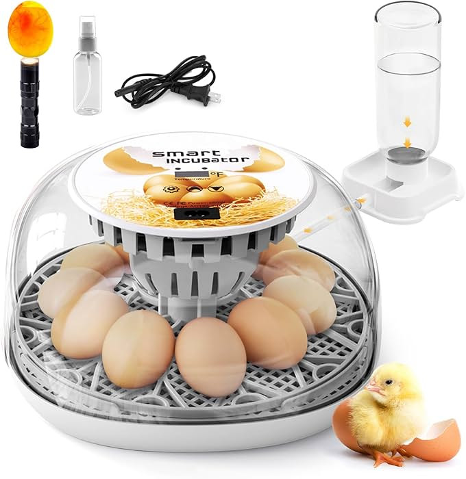 Egg Incubator for Hatching Chicks, Automatic Egg Turner Holds 12 Eggs, Smart Incubator 360° Clea... | Amazon (US)