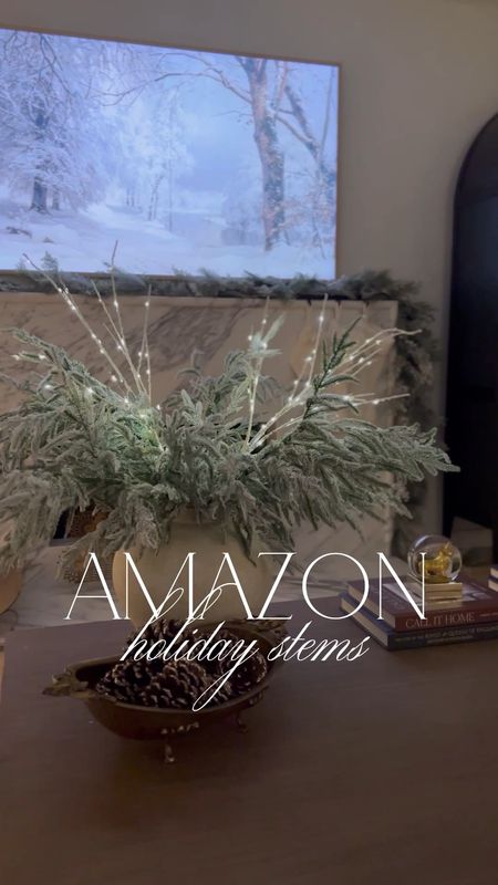 Amazon holiday decor finds! These faux stems are all gorgeous styled in any vase. And so pretty paired with these battery operated kit branches - a holiday decorating must have!

#LTKSeasonal #LTKVideo #LTKHoliday