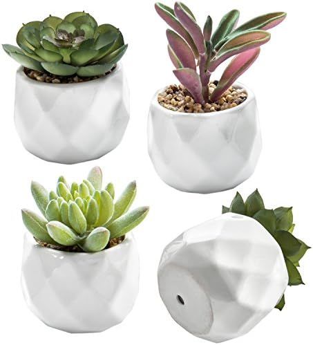 for "artificial succulents in pots" | Amazon (US)