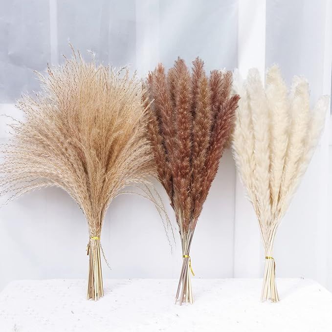 80 Pcs 17" Dried Pampas Grass,Natural Dried Pampas Grass with 3 Colors,Fluffy Pampas for Boho Hom... | Amazon (US)