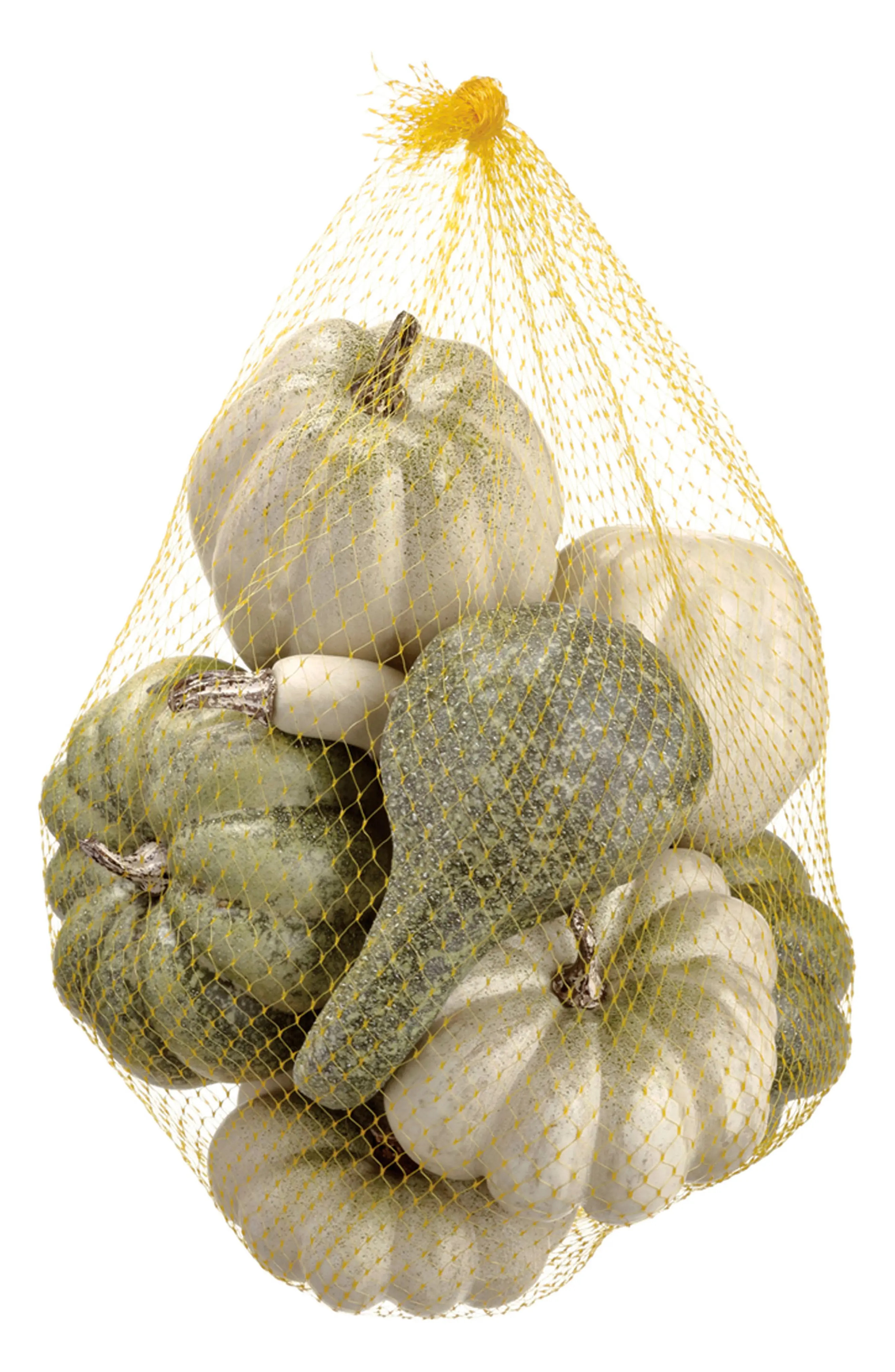 ALLSTATE Pumpkin & Gourd Bundle | Nordstrom