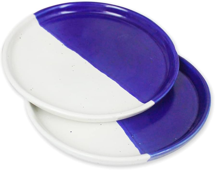 roro Ceramic Stoneware Appetizer Plates: Two-Tone Blue & Ivory White for Tapas, Bruschetta, Sushi... | Amazon (US)